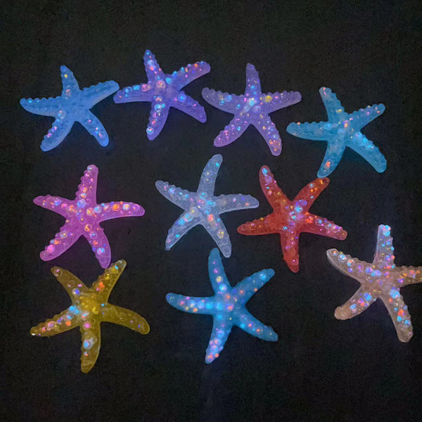 Starfish（Luminous）